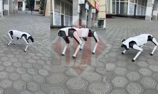 un-iesean-si-a-scos-cainele-robot-la-plimbare-prin-oras.-a-platit-mii-de-euro-pentru-dispozitivul-controlat-de-inteligenta-artificiala