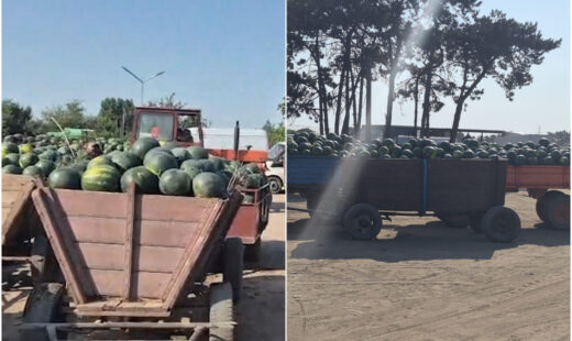 galerie-foto:-pepenii-de-dabuleni-se-vand-la-pret-de-nimic.-nu-ne-acoperim-investitia