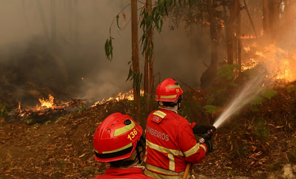ue-trimite-avioane-si-sute-de-pompieri-pentru-a-face-fata-incendiilor-devastatoare-din-portugalia-si-franta