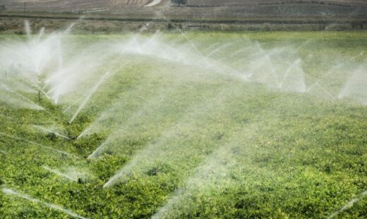 fermierii,-ajutati-inainte-de-noul-sezon-agricol.-ce-prevede-noul-pachet-votat-in-parlamentul-european