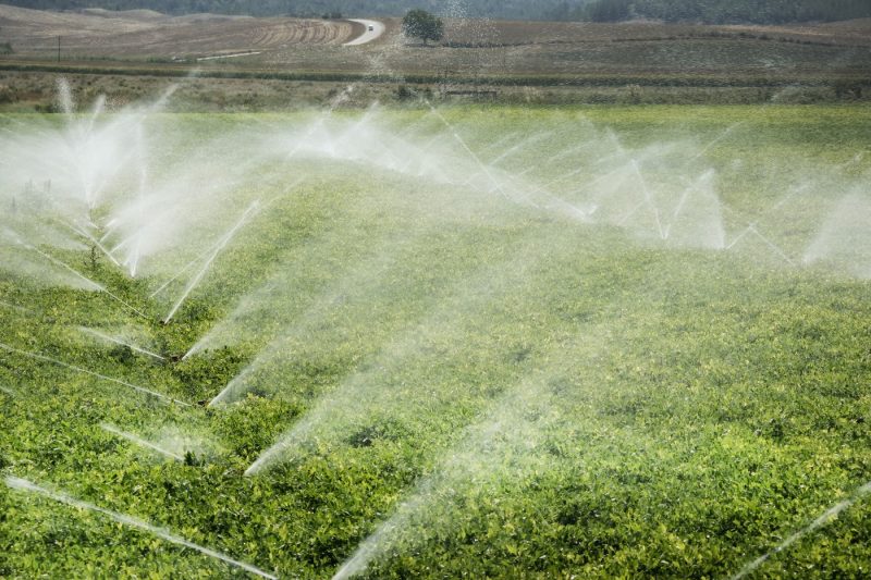 fermierii,-ajutati-inainte-de-noul-sezon-agricol.-ce-prevede-noul-pachet-votat-in-parlamentul-european