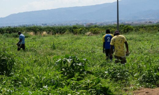 fermier-italian-condamnat-la-16-ani-de-inchisoare-dupa-ce-a-lasat-un-muncitor-indian-sa-moara