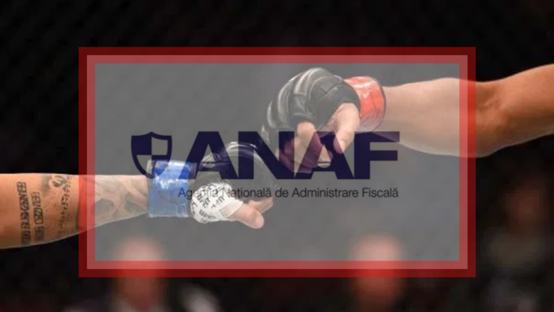lovitura-data-de-anaf!-frauda-uriasa-de-peste-26-de-milioane-de-lei,-descoperita-la-o-firma-care-organiza-si-difuza-online-lupte-mma