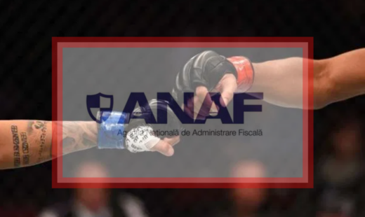 lovitura-data-de-anaf!-frauda-uriasa-de-peste-26-de-milioane-de-lei,-descoperita-la-o-firma-care-organiza-si-difuza-online-lupte-mma