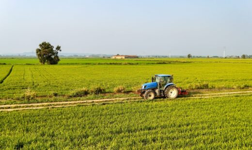 conditiile-in-care-fermierii-pot-pierde-subventiile-apia-in-2026.-ce-se-intampla-cu-dosarele-din-agricultura