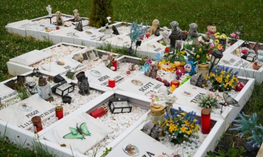 un-cimitir-cu-gradina-memoriala-pentru-animalele-de-companie-ar-putea-aparea-la-iasi