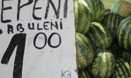 cat-de-romanesti-sunt,-de-fapt,-pepenii-de-dabuleni?-din-ce-tara-isi-iau-semintele-taranii