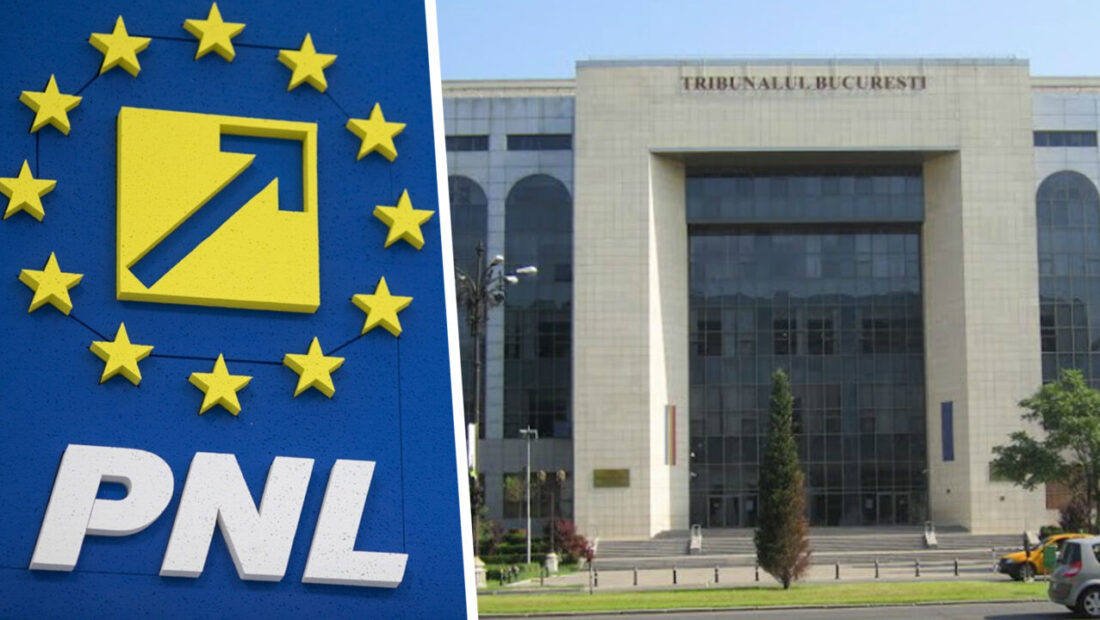 cum-a-motivat-instanta-suspendarea-deciziilor-adoptate-la-congresul-pnl