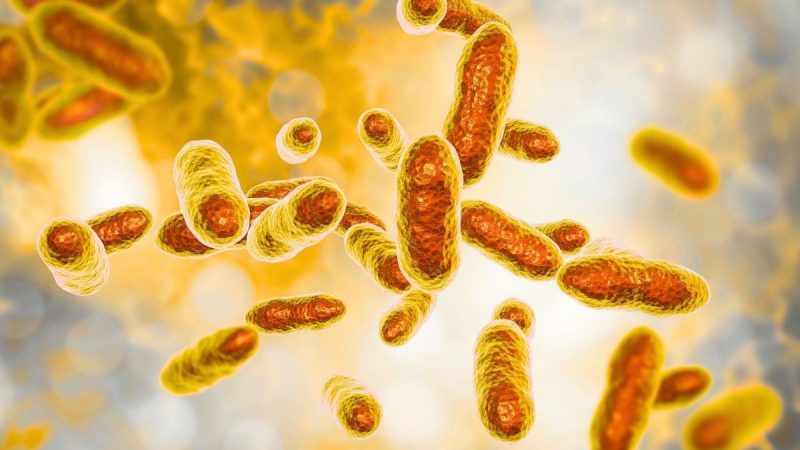 bacteriile-care-mananca-uraniu,-descoperite-intr-o-fosta-mina-sovietica.-ar-putea-curata-apele-radioactive