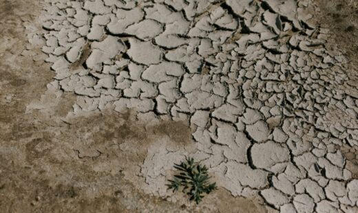 situatie-fara-precedent-in-franta:-tara-se-confrunta-cu-o-seceta-exceptionala-si-foarte-timpurie